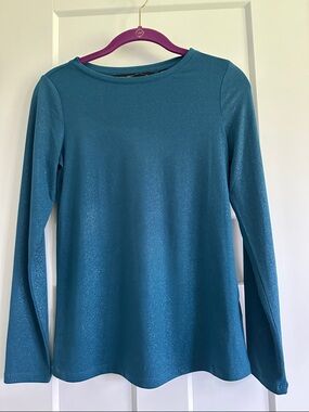 Colleen Lopez Teal Sparkle Long-Sleeve Crewneck Top